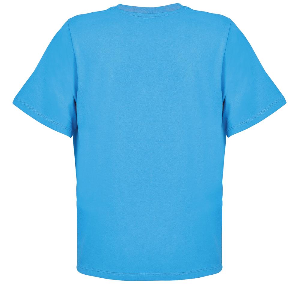 Tee-shirt femme coton peigné personnalisé LEGEND WOMEN, dos
