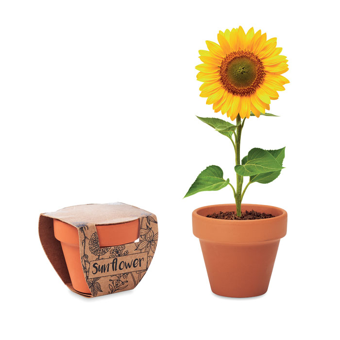Pot graines de tournesol personnalisé SUNFLOWER