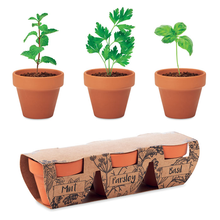 Set 3 pots en terre cuite et graines personnalisé FLOWERPOT