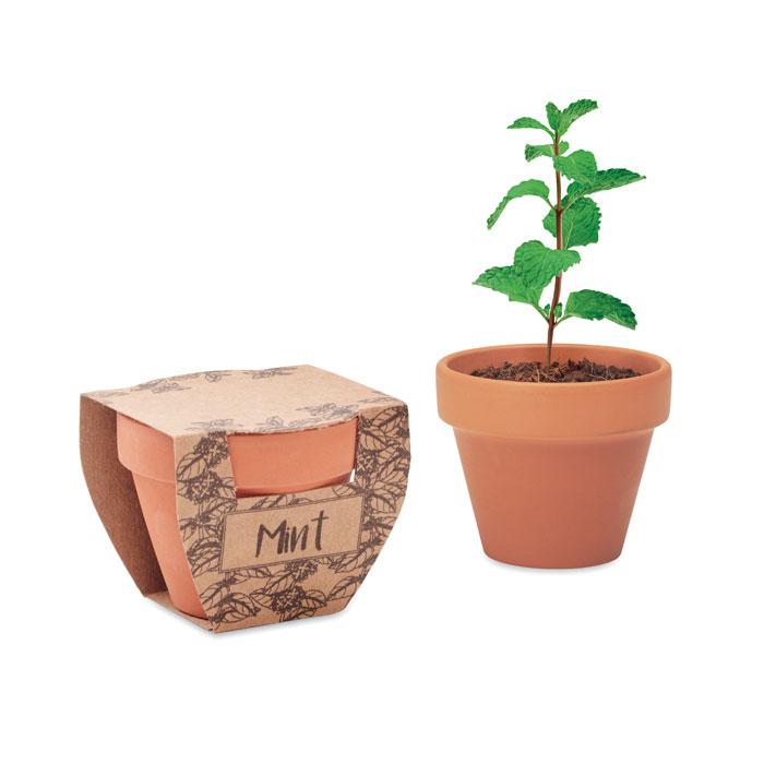 Pot graines de menthe personnalisé MINT POT