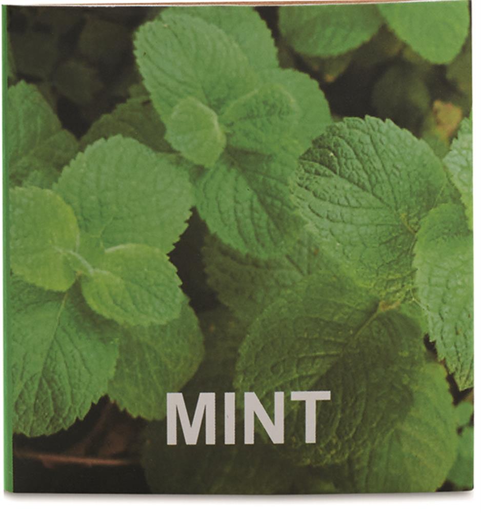 Pot en bois graines de menthe personnalisé MENTA, boîte devant