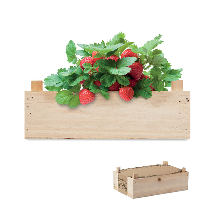 Kit de culture de fraises personnalisé STRAWBERRY