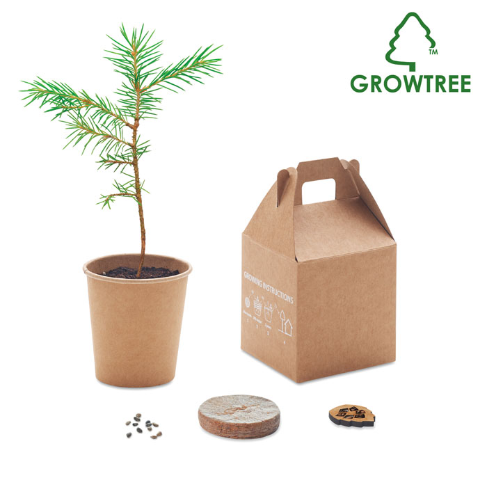 Kit graines de pin personnalisé GROWTREE™, Beige