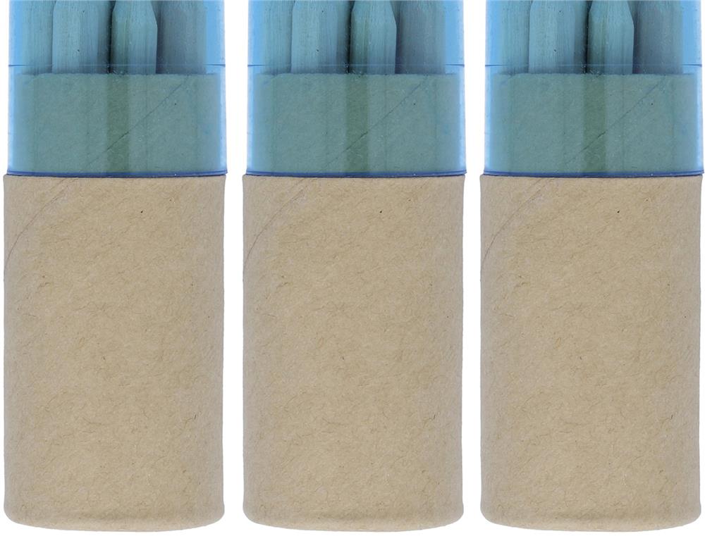 Crayons de couleur tube de 12 personnalisés LAMBUT, carton