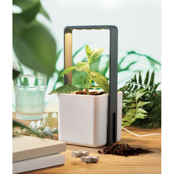 Jardin d'intérieur LED personnalisé LUSHLET