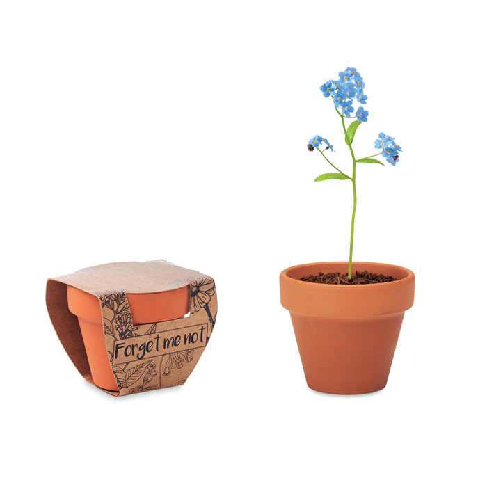 Pot graines de myosotis personnalisé FORGET ME NOT