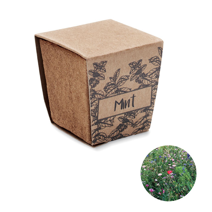 Kit graines de menthe en pot de tourbe personnalisé MINT KIT
