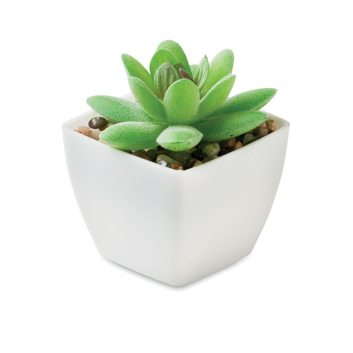 Plante artificielle succulente personnalisée ARTIGRAP