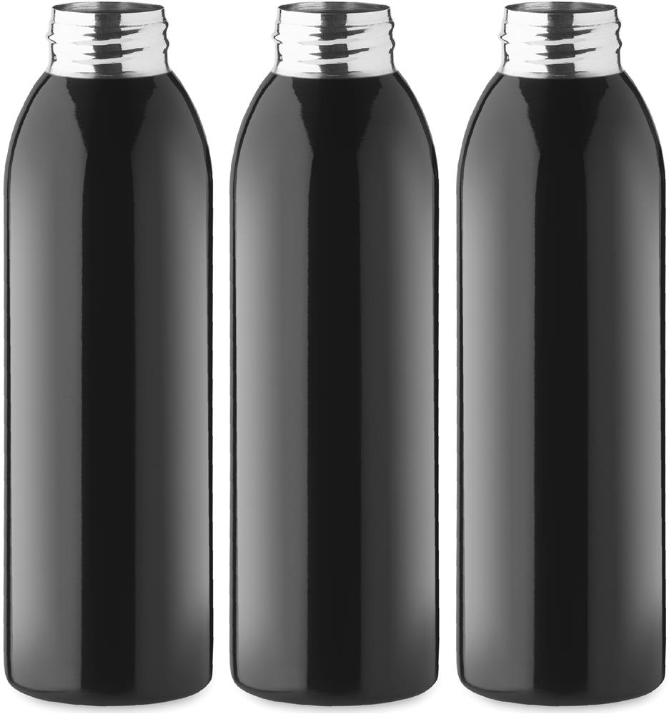 Bouteille inox 650 ml simple paroi personnalisée BIRA, tour complet (sérigraphie circulaire)