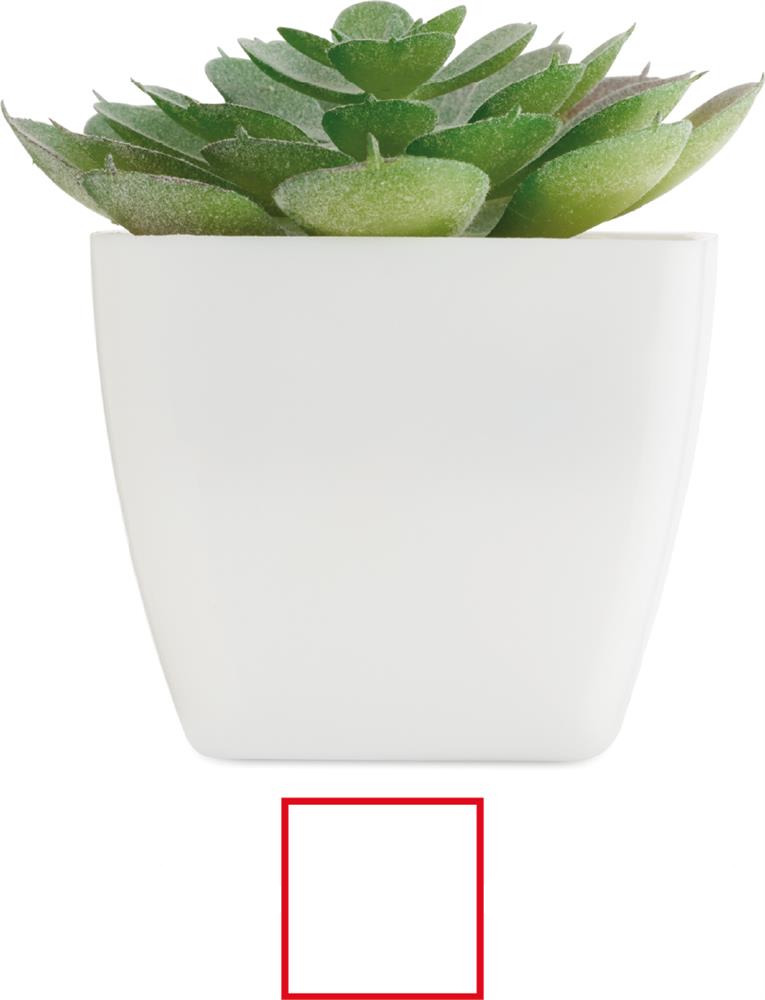 Plante artificielle echeveria personnalisée ARTIECHE, côté 2 (tampographie)