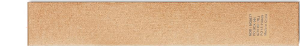 Brosse à dents bambou FSC personnalisée DENTOBRUSH, boîte côté 2