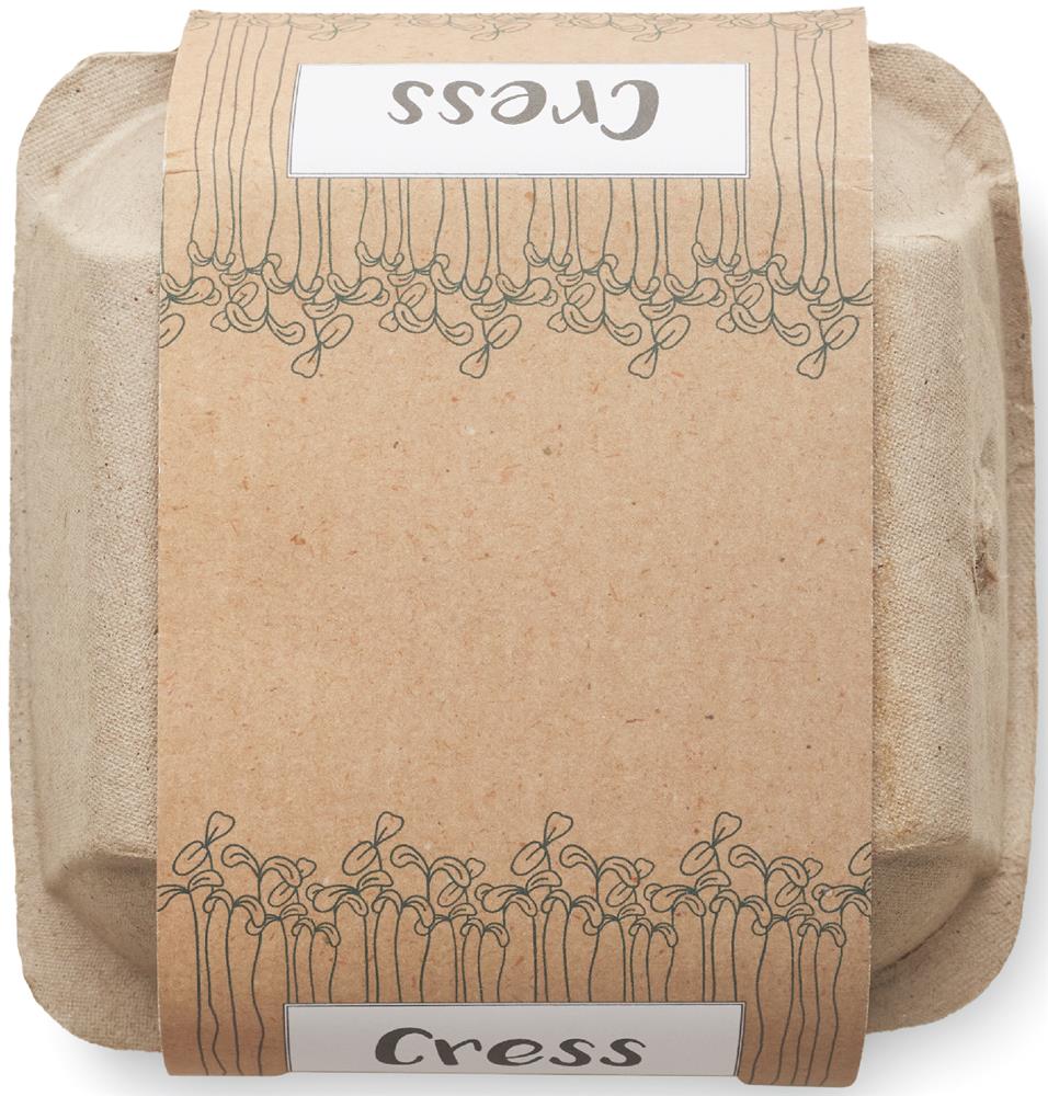 Kit 4 pots de cresson en terre cuite personnalisé CRESS, dessus