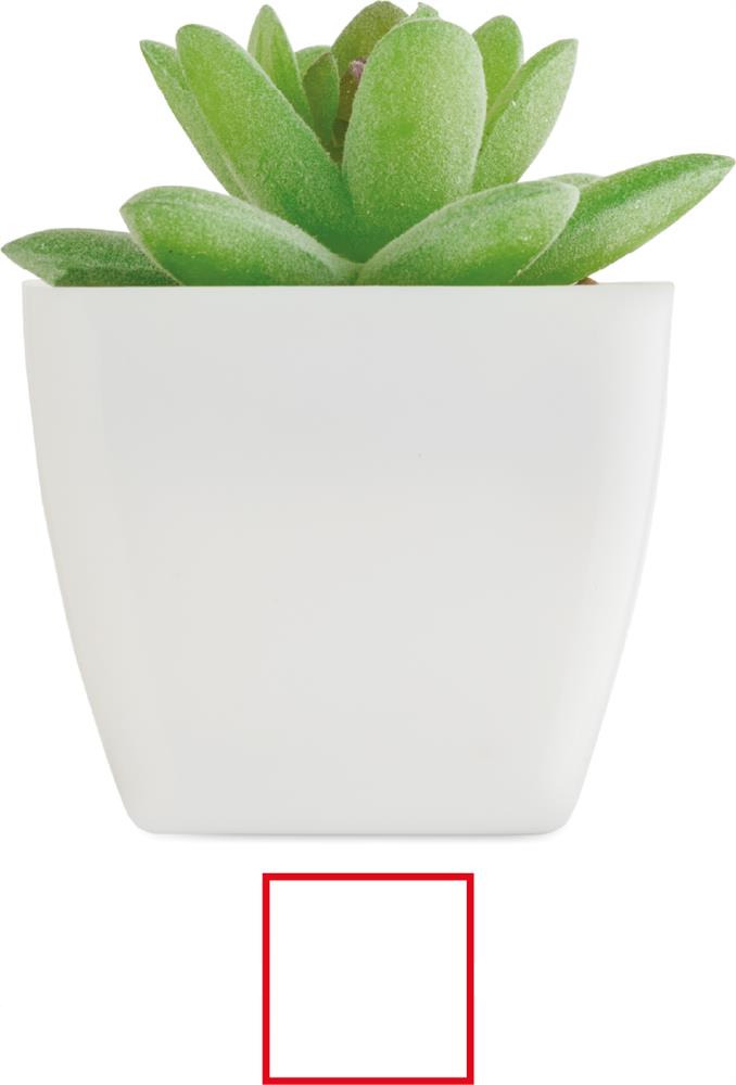 Plante artificielle succulente personnalisée ARTIGRAP, côté 2 (tampographie)