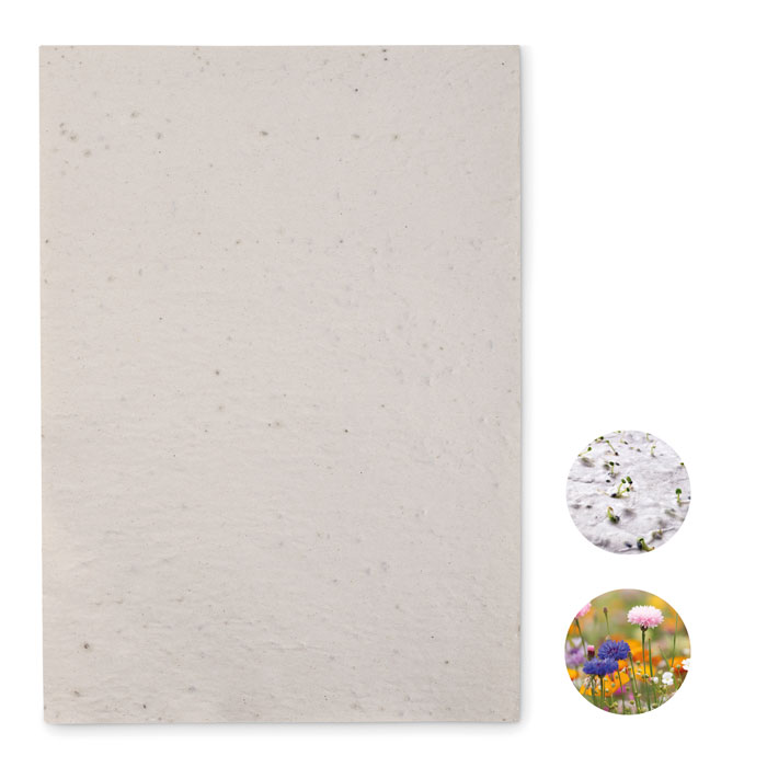 Papier ensemencé A4 personnalisé ASIDI, Blanc