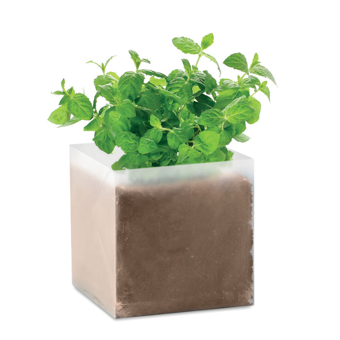 Sachet substrat et graines de menthe personnalisé MINT