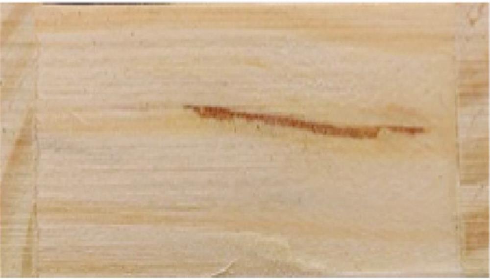 Jeu de dominos en boîte bois personnalisé DOMINO, dos