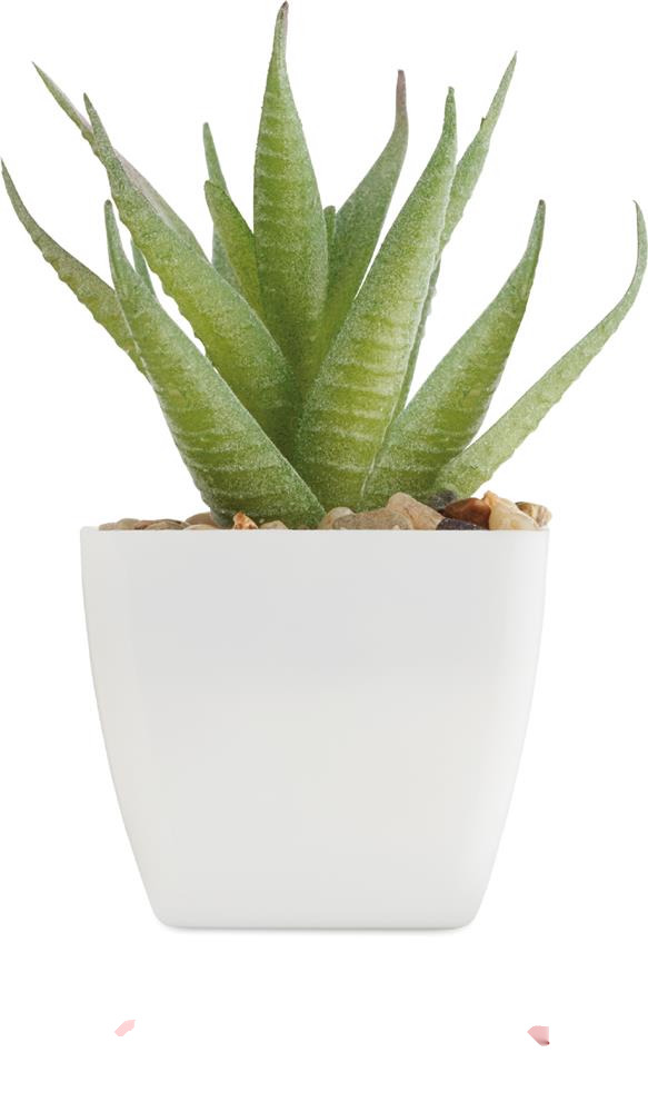 Plante artificielle aloès personnalisée ARTILOE, côté 2 (tampographie)