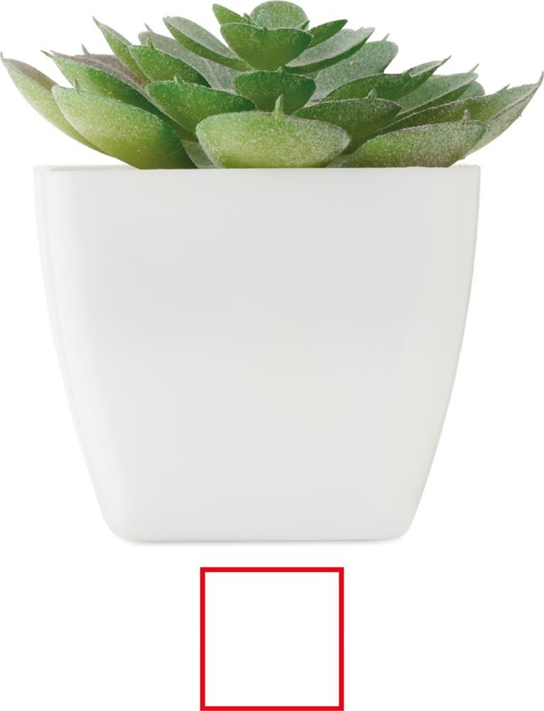 Plante artificielle echeveria personnalisée ARTIECHE, côté 1 (tampographie)