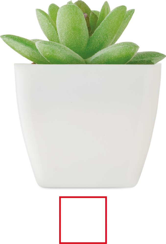 Plante artificielle succulente personnalisée ARTIGRAP, côté 1 (tampographie)