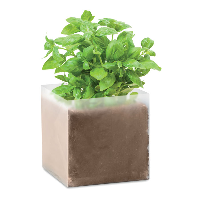Sachet substrat et graines de basilic personnalisé BASIL