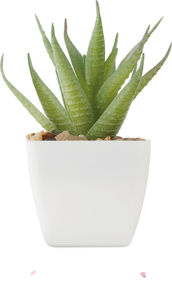 Plante artificielle aloès personnalisée ARTILOE, côté 1 (tampographie)