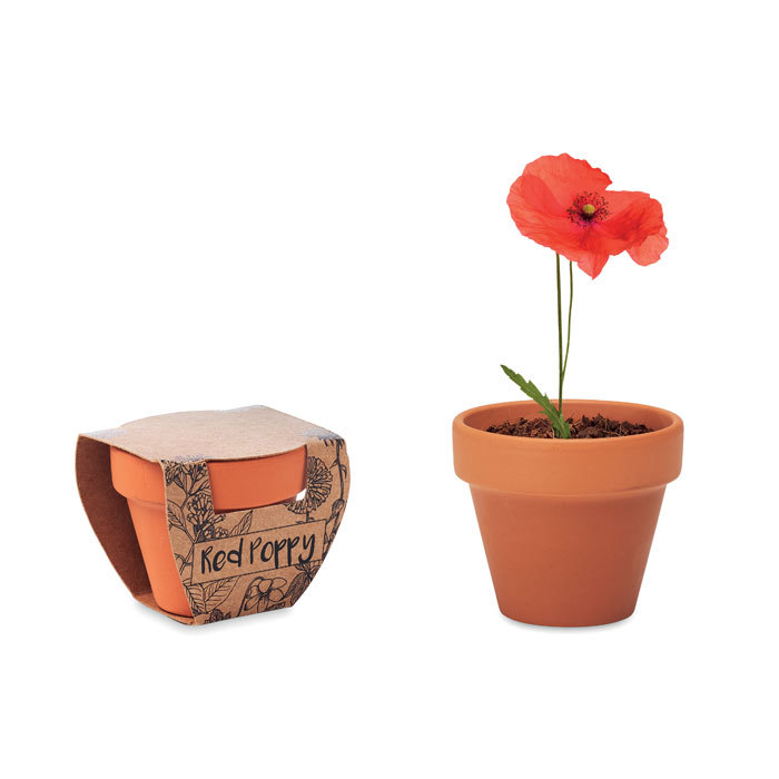 Pot graines de coquelicot personnalisé RED POPPY