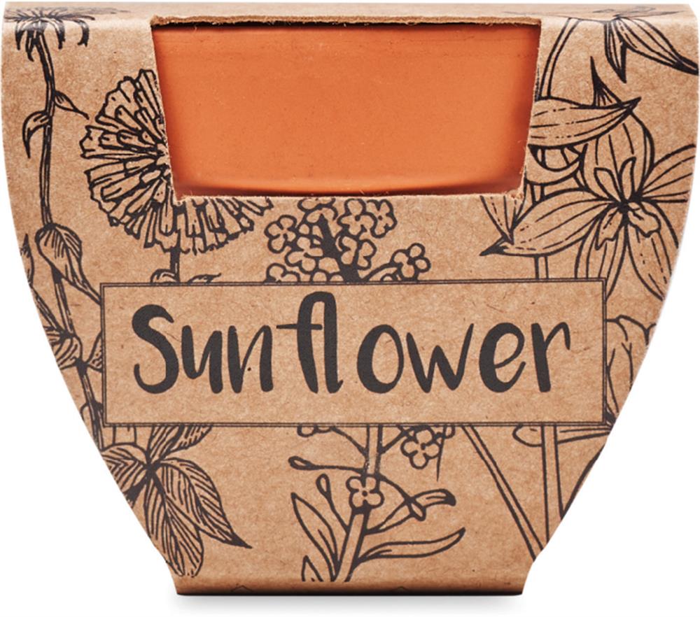 Pot graines de tournesol personnalisé SUNFLOWER, pot côté 2
